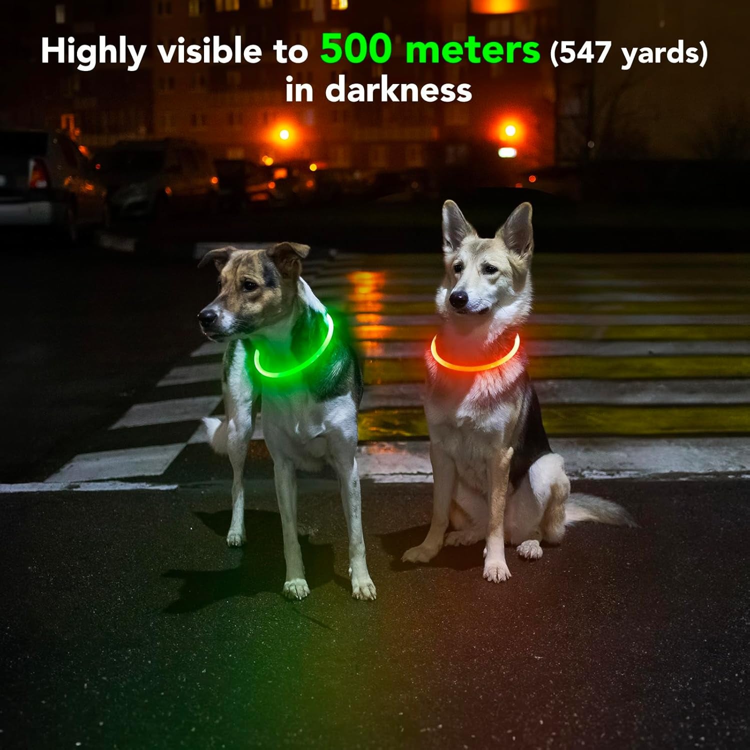 Light up Dog Collars - TPU Rechargeable LED Dog Collar, Glowing Puppy Collar, Flashing Dog Collar Lights for Night Walking (Orange)