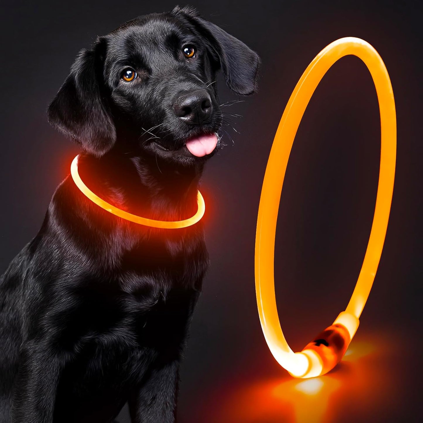 Light up Dog Collars - TPU Rechargeable LED Dog Collar, Glowing Puppy Collar, Flashing Dog Collar Lights for Night Walking (Orange)