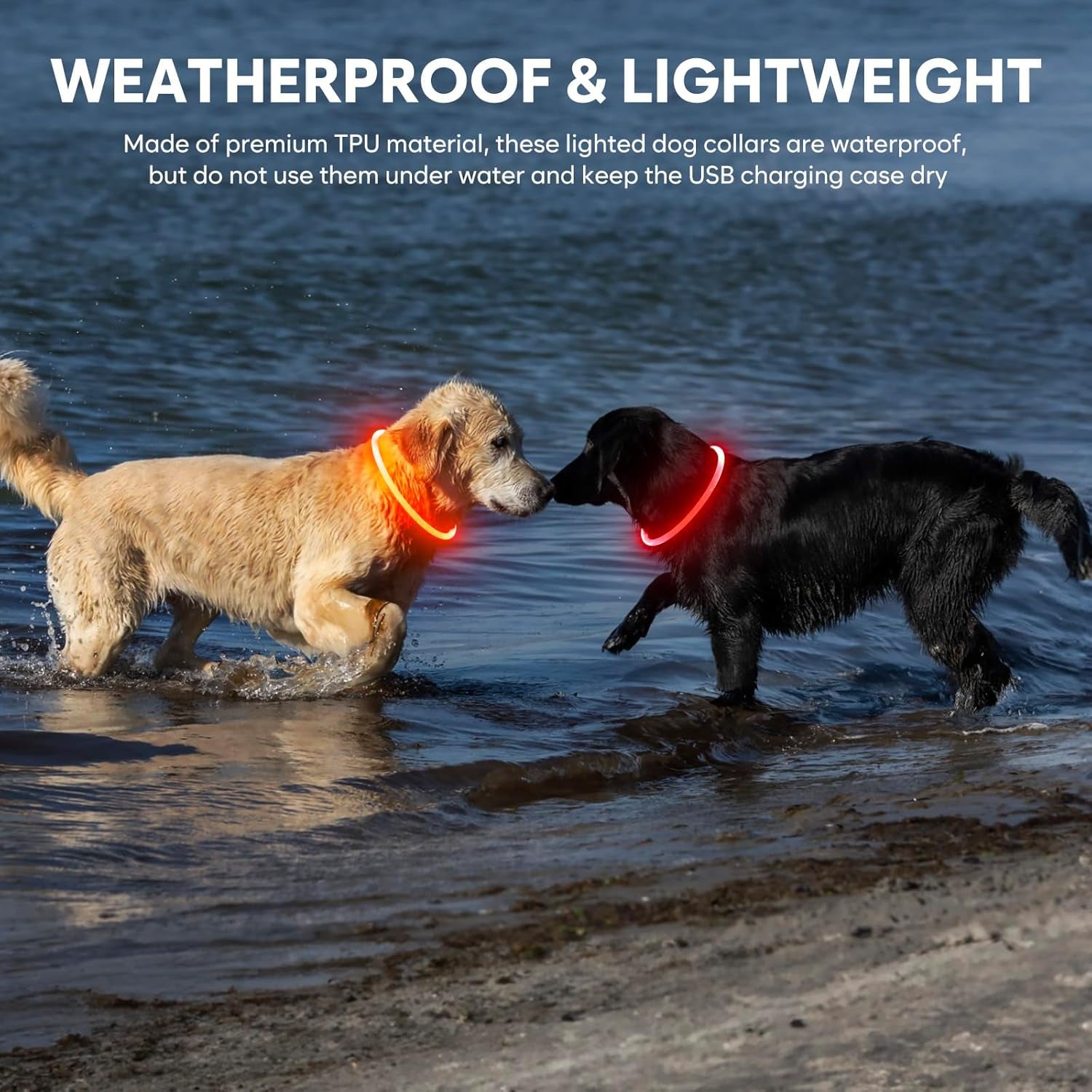 Light up Dog Collars - TPU Rechargeable LED Dog Collar, Glowing Puppy Collar, Flashing Dog Collar Lights for Night Walking (Orange)