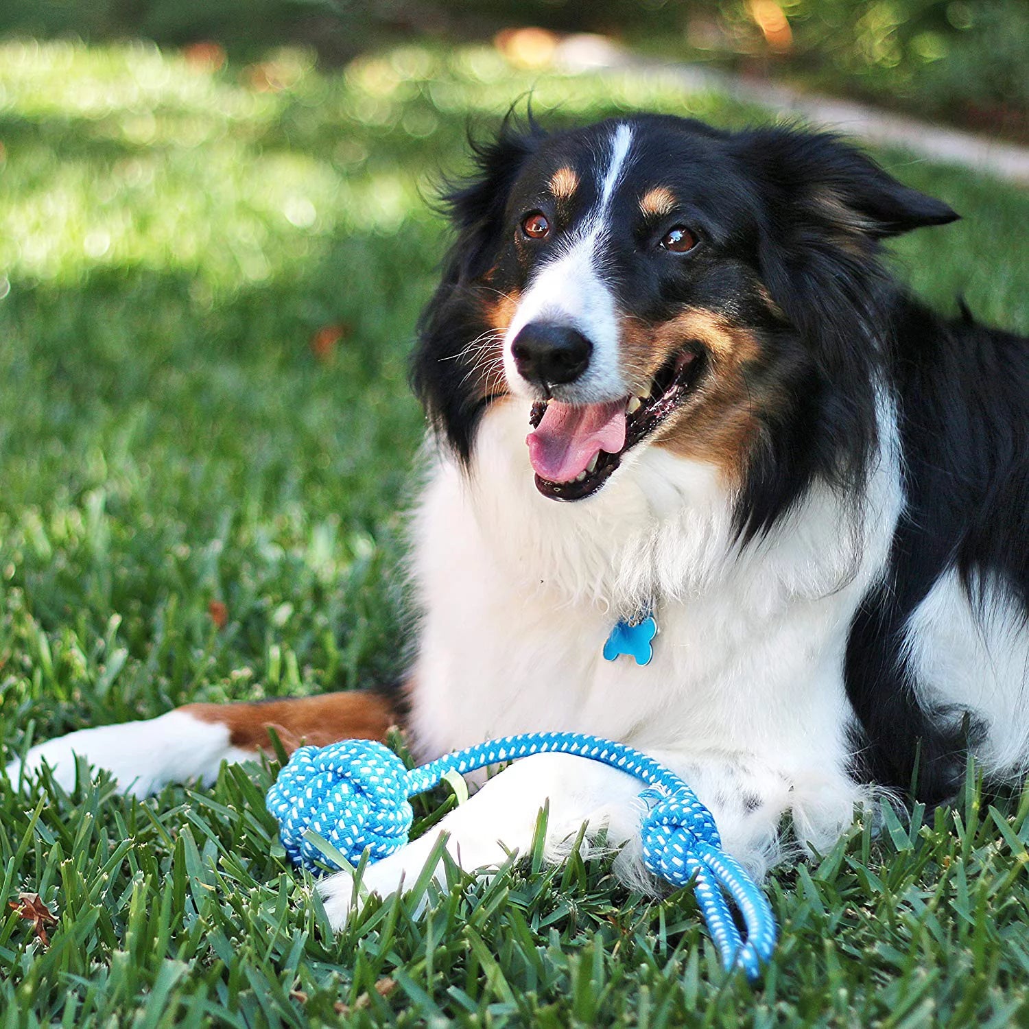 Dog Rope Toys for Small & Medium Dogs Dog Toy Pack of 11 Puppy Teething Toys