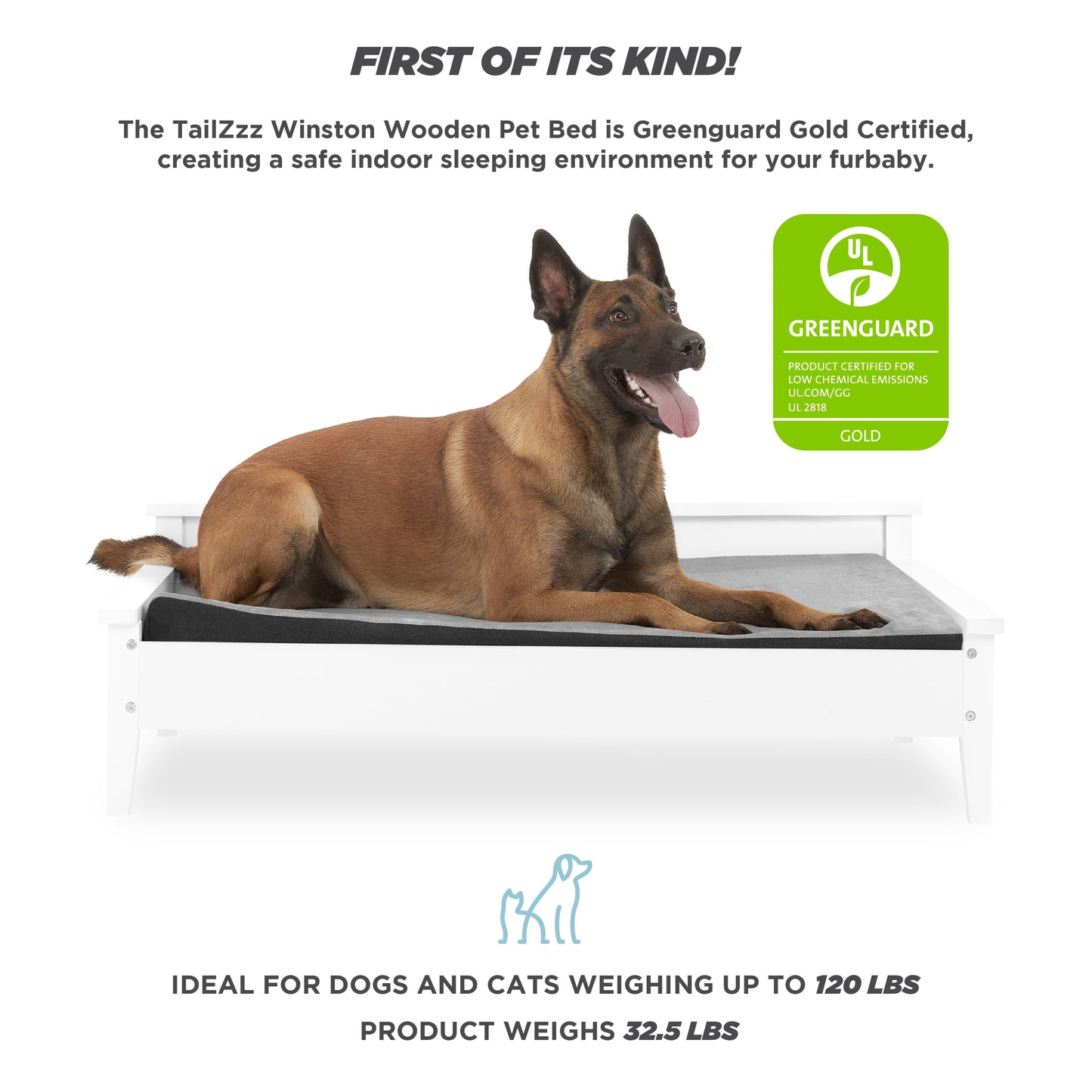 Winston Wooden Pet Bed with Mattress | Large to Extra Large Pet Bed with Mattress | Elevated Pet Bed | Greenguard Gold Certified Wooden Pet Bed