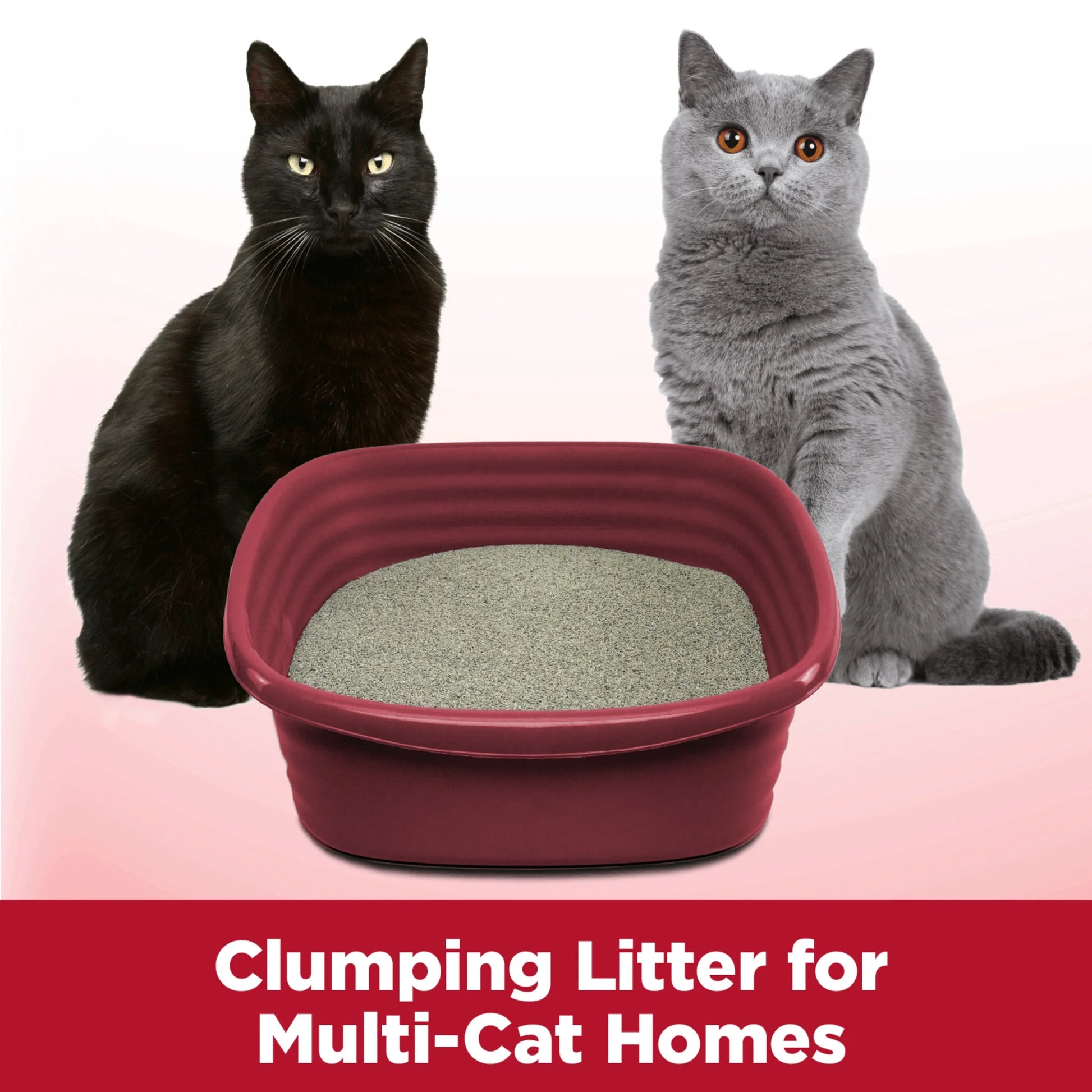 Clump & Seal Cat Litter Multi-Cat Complete Odor Sealing Clay Clumping Cat Litter, 28 Lb