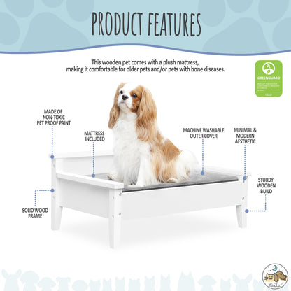 Winston Small Elevated Wooden Pet Bed with Plush Mattress, White